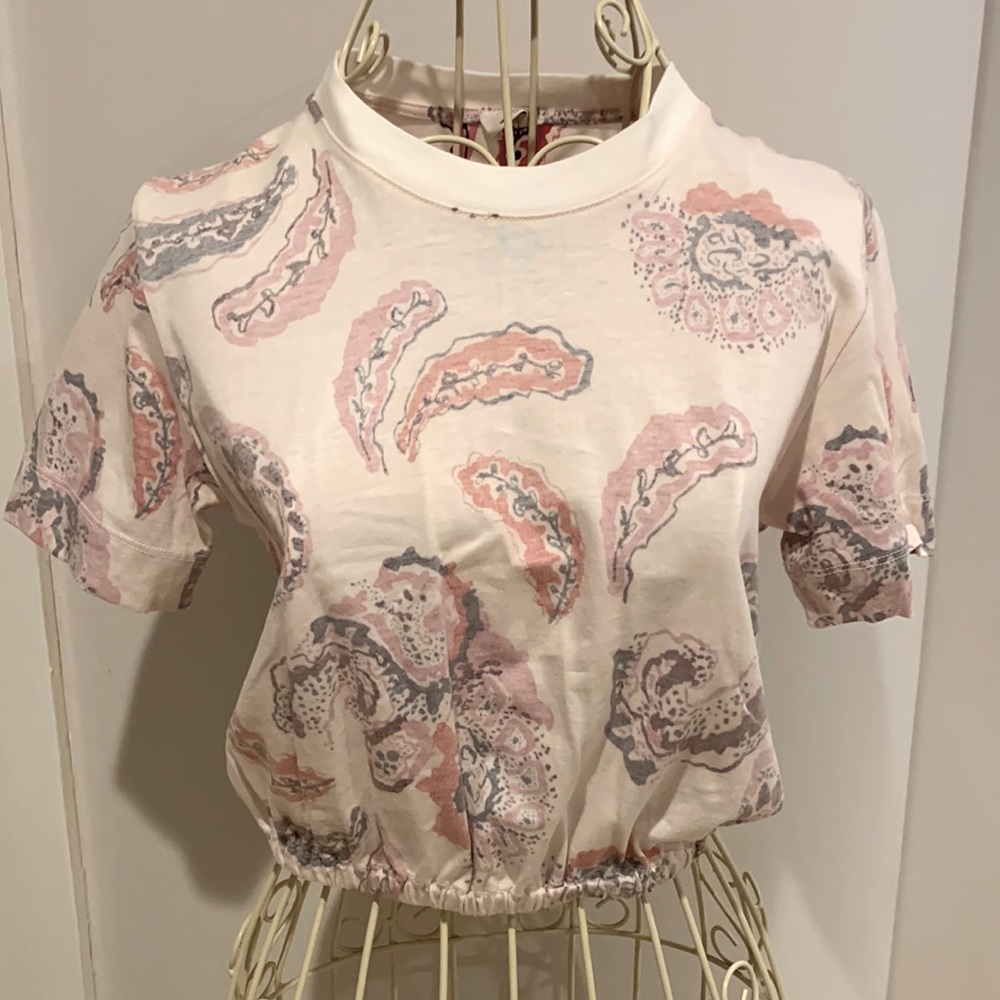 Aritizia Crop Tee